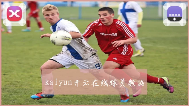 kaiyun开云在线球员数据