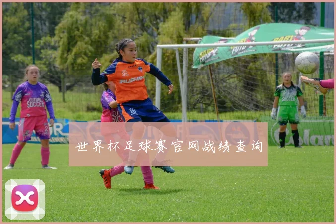 世界杯足球赛官网战绩查询