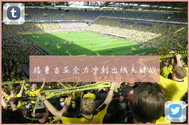 格鲁吉亚全力冲刺出线关键战