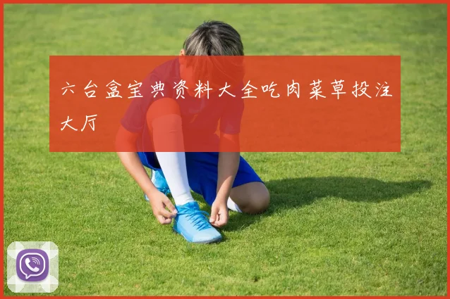 六台盒宝典资料大全吃肉菜草投注大厅
