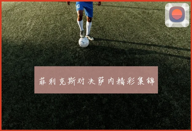菲利克斯对决萨内精彩集锦