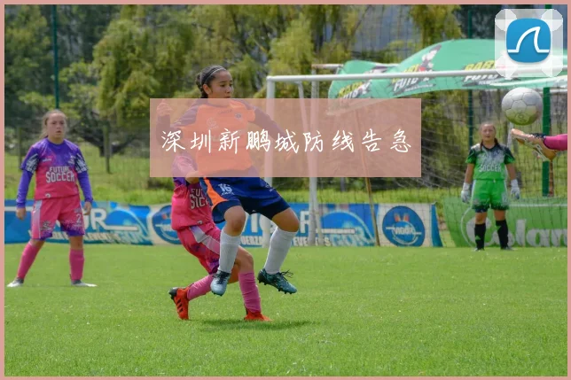 深圳新鹏城防线告急