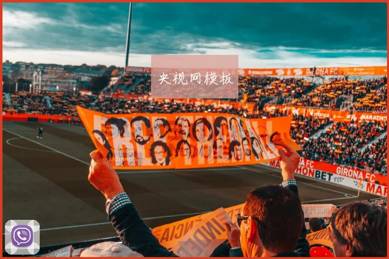 央视网模板