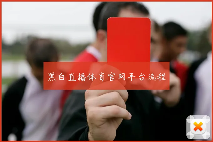 黑白直播体育官网平台流程