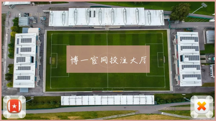 博一官网投注大厅