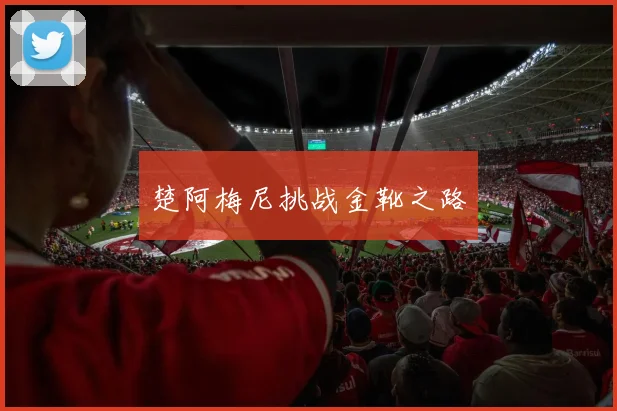楚阿梅尼挑战金靴之路