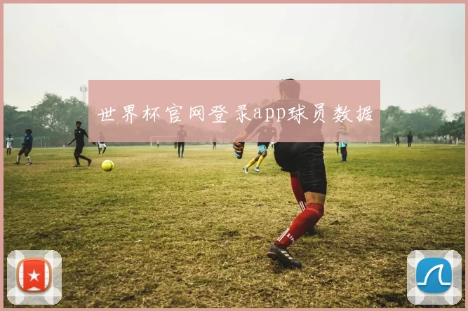世界杯官网登录app球员数据