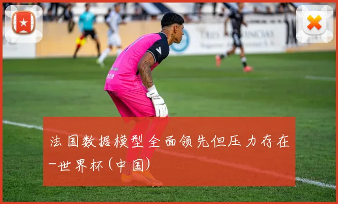 法国数据模型全面领先但压力存在-世界杯(中国)