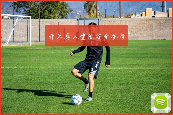 开云真人登陆安全参考