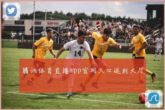 腾讯体育直播app官网入口返利大厅