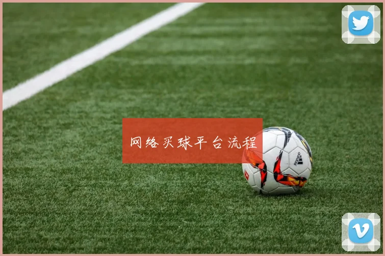 网络买球平台流程