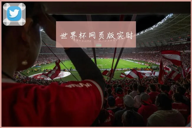 世界杯网页版实时