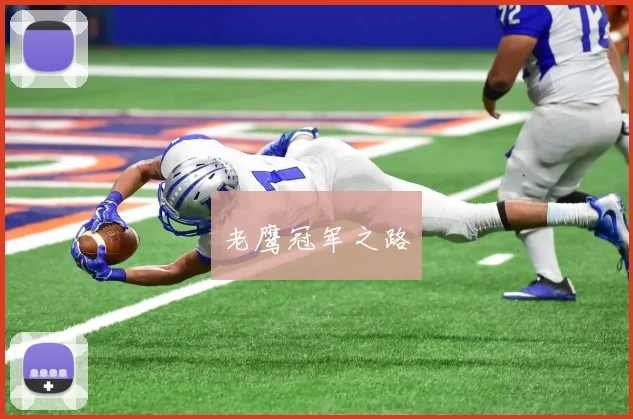 老鹰冠军之路