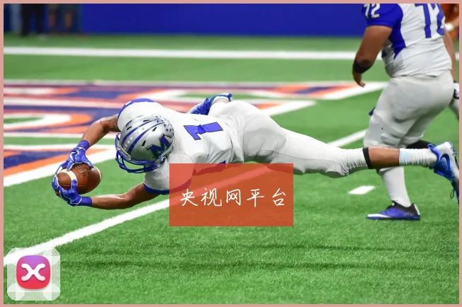 央视网平台