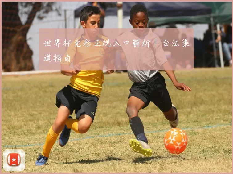世界杯竞彩正规入口解析|合法渠道指南