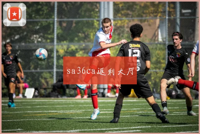 sa36ca返利大厅