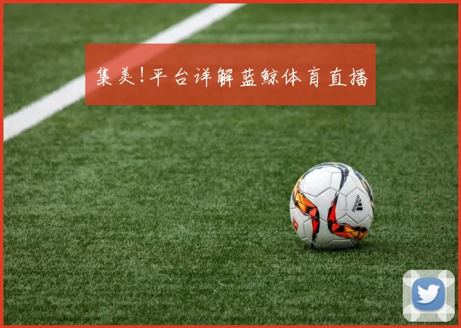 集美!平台详解蓝鲸体育直播