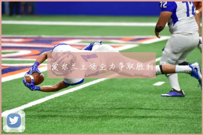 爱尔兰主场全力争取胜利