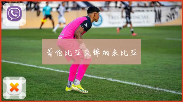 哥伦比亚交锋纳米比亚