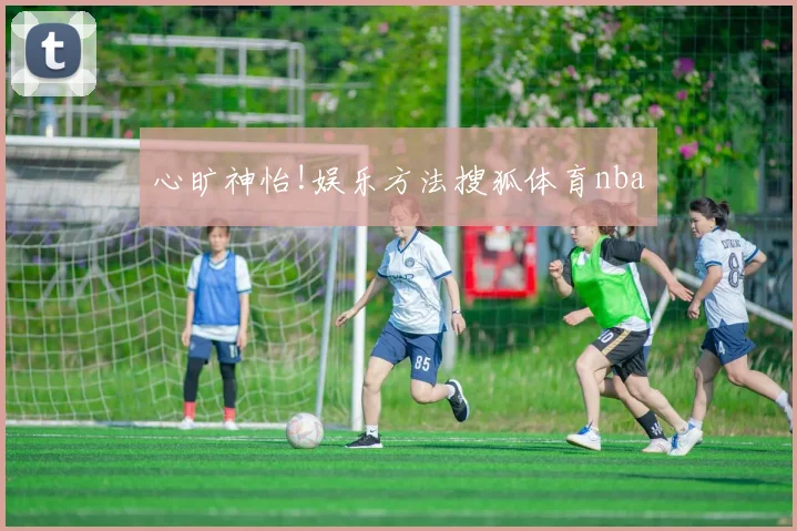 心旷神怡!娱乐方法搜狐体育nba
