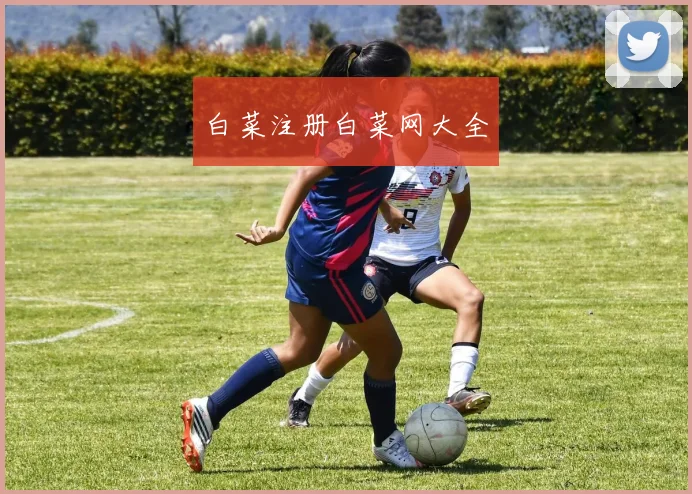 白菜注册白菜网大全