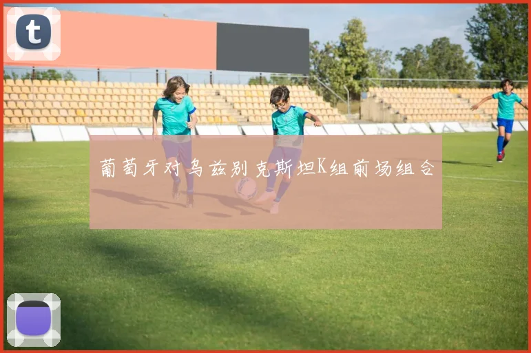 葡萄牙对乌兹别克斯坦K组前场组合