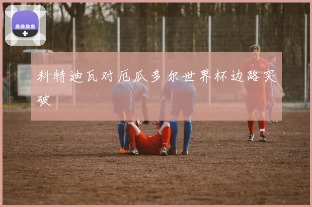 科特迪瓦对厄瓜多尔世界杯边路突破