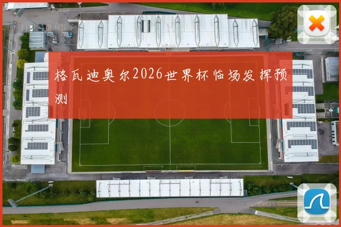 格瓦迪奥尔2026世界杯临场发挥预测