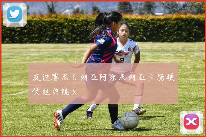 友谊赛尼日利亚阿尔及利亚主场硬仗经典镜头