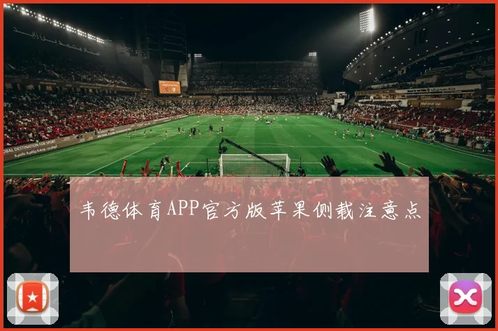 韦德体育APP官方版苹果侧载注意点