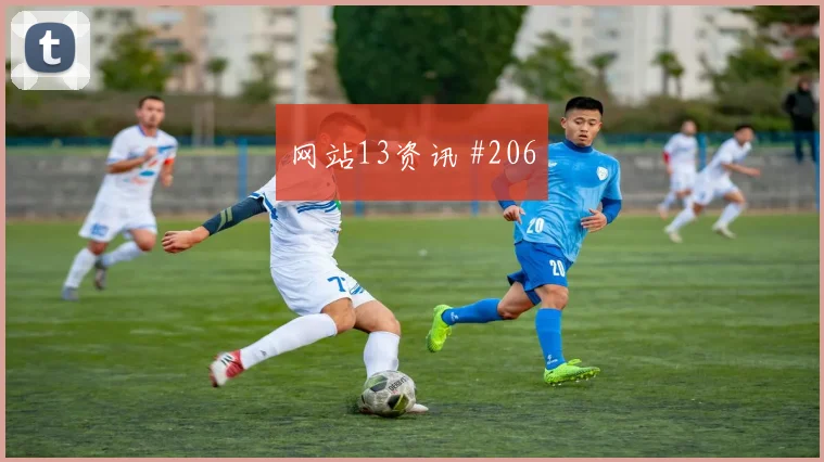 6月13日澳大利亚对土耳其第三名形势
