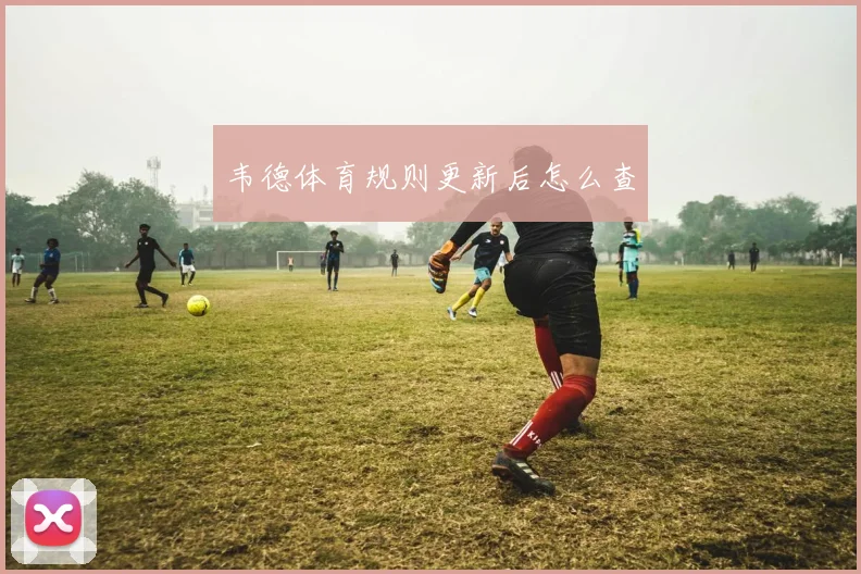 韦德体育规则更新后怎么查